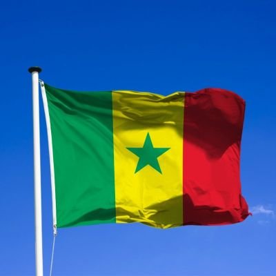 BoyScou221's profile picture. Africain 🌍 du Sénégal 🇸🇳