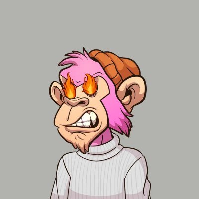 duckyoucrypto's profile picture. 