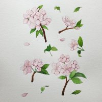 مساج جده (@alrayq06397477) 's Twitter Profile