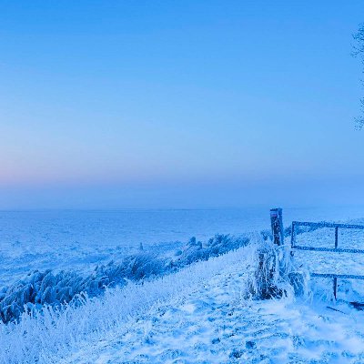 dkunderscore's profile picture. Loves games, movies & cheese.