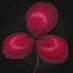 Crimson Clover (@crimsonclovergm) Twitter profile photo Crimson Clover (@crimsonclovergm) Twitter profile photo