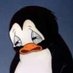 . (@burnerpenguin) Twitter profile photo . (@burnerpenguin) Twitter profile photo