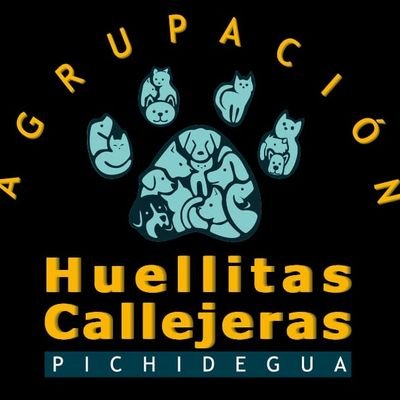 Somos una agrupación animalista de la comuna de Pichidegua dedicados al rescate, refugio, cuidado y difusión de animales en estado de maltrato y abandono 🐾🐾