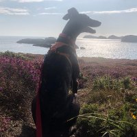 Steve Palmer (@stevepa62992147) 's Twitter Profile Photo Steve Palmer (@stevepa62992147) 's Twitter Profile Photo