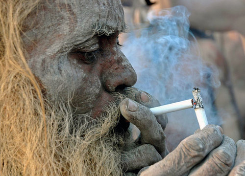 Last_Hippie's profile picture. Бездельник, мажор, и так до без конечности можно говарить о том какой я хороший ))