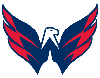 Washington Capitals Profile
