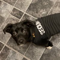 Bob (@bob51910589) 's Twitter Profile Photo