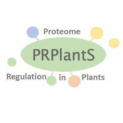 Our research aims to characterize post-translational protein modification (PTMs) networks that regulate plant stress responses. @itqbunl @greenit_bio4sus