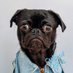 CultOfDoris (@cultofdoris) Twitter profile photo CultOfDoris (@cultofdoris) Twitter profile photo