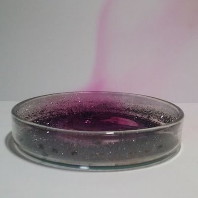 janecfra's profile picture. Ano