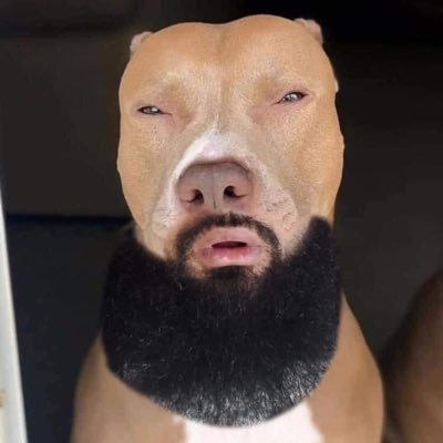 LVP20_20's profile picture. top troll