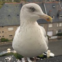 greffière précieuse et exceptionnelle (@greffprecetexce) 's Twitter Profile