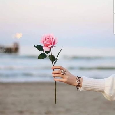 Addu9Addu's profile picture. 