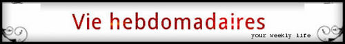 Vie hebdomadaires is a collaborative megablog telling you the story of a year through the eyes of many bloggers
