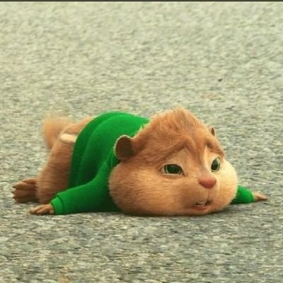 itsEnocking's profile picture. 