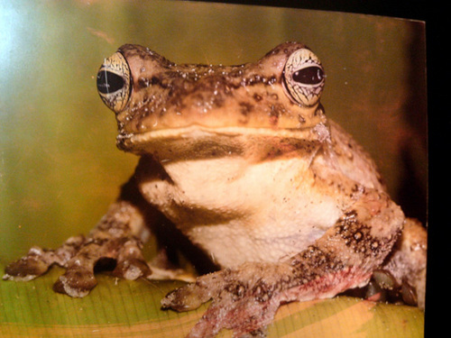 entreexclusivas's profile picture. De olho em todos que têm algo a dizer.