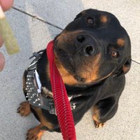 Boopy J 🍴(ALL DAY) (@jayhd34) 's Twitter Profile