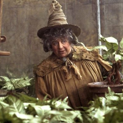 Nauczycielka zielarstwa w Szkole Magii i Czarodziejstwa w Hogwarcie oraz opiekunka jednego z domów, Hufflepuffu.