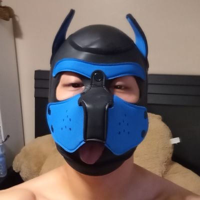 Just a pup retweeting stuff I find hot and occasionally stuff of myself. Getting beefier and horny NSFW, 18+ only #gay #humanpup CashApp: $SisPup