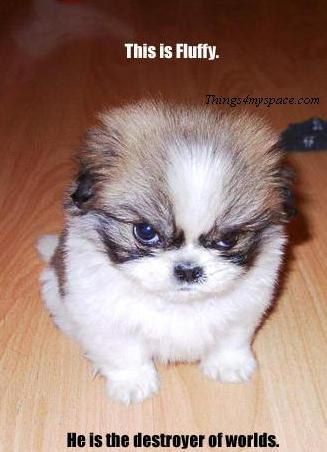 sandeep_ananth's profile picture. 