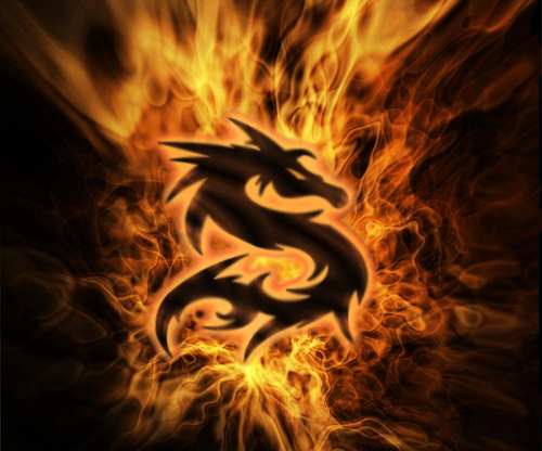 Shinojmkd's profile picture. 