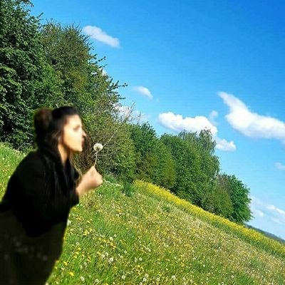 NewrozJimo's profile picture. karê min wergerendin e #  #my job teacher and translation.
#kurd _ kurda - dişopînin