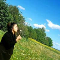 Newroz jimo (@newrozjimo) Twitter profile photo