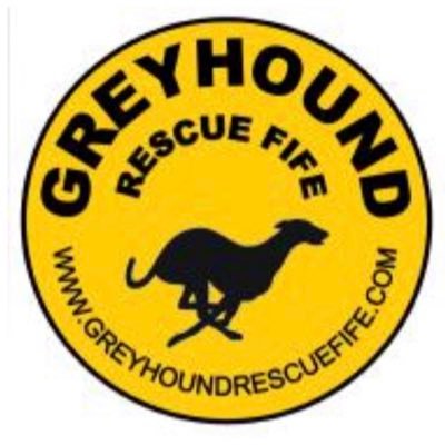 Greyhound Rescue Fife