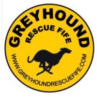 Greyhound Rescue Fife(@GreyhoundRFife) 's Twitter Profile Photo