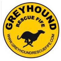 Greyhound Rescue Fife (@greyhoundrfife) 's Twitter Profile