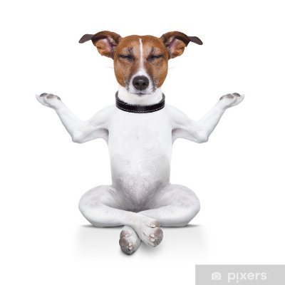 youroptimallife's profile picture. Yoga Teacher 💕 Dog Lover 💕 Peace ✌️ Love ❤️ + Happiness 😊 She/her/hers
