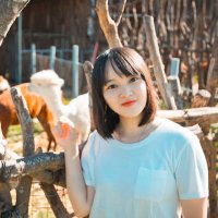 Huifang Xu (@xx_huifang) 's Twitter Profile Photo