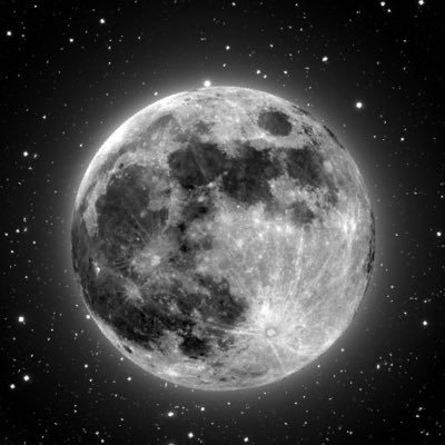 brachelz's profile picture. 