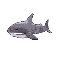 非国民🦈 (@c4_h10_f_o2_p) 's Twitter Profile