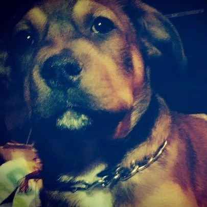 Michael64571980's profile picture. I'm Michael Colley by name, hard working, caring and loving person to be with