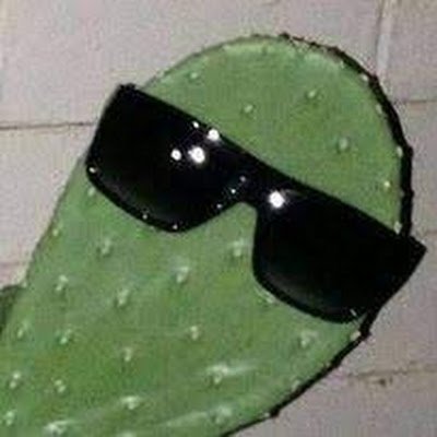 gilzuniga4's profile picture. a