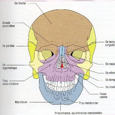 J'ai servi la France et j'en suis fier. tant pis pour les imbéciles qui n'arrêtent pas de la dénigrer.