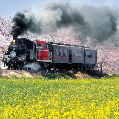 hirosx200's profile picture. エッチな人やエッチな事が好きです😊
無言ホロー　すいません！