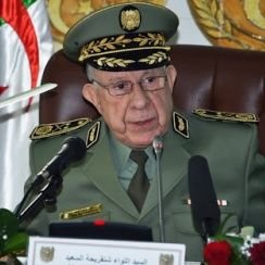 Chengriha76's profile picture. رئيس أركان الجيش الوطني الشعبي الجزائري إلى أن يرث الله الأرض و من عليها