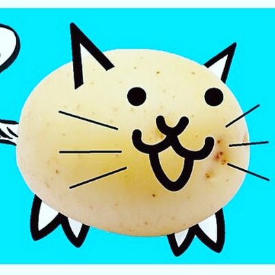 Sebasti67651970's profile picture. Hola :) me gusta la historia y la biología