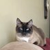 Lenore Kinzenbaw (@lkinzenb2) Twitter profile photo Lenore Kinzenbaw (@lkinzenb2) Twitter profile photo