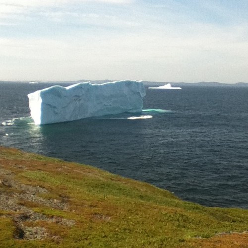 david_smallwood's profile picture. lover of the arts, the environment and politics!