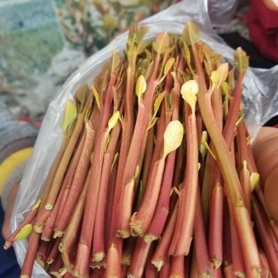 AbwghrybK's profile picture. 