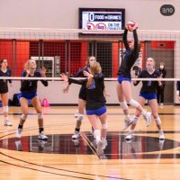 Harper Hall (@harperhall800) 's Twitter Profile