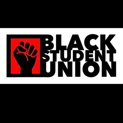 BSU is a community for Black students and all other students who share an interest in the issues related to the black community and wish to become an ally.