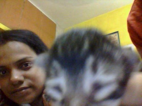 charukas's profile picture. 