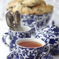 DelecTEAble (@delecteable) 's Twitter Profile