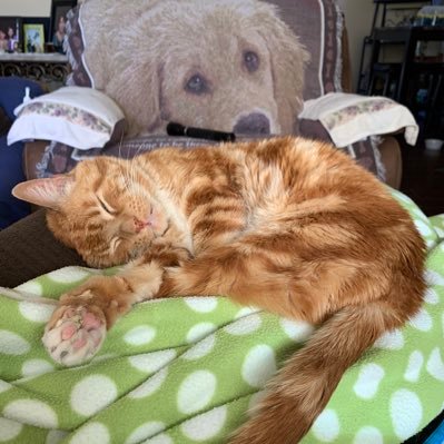 164mario's profile picture. 