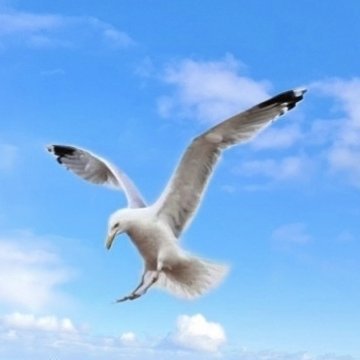 digilife100's profile picture. Crypto Enthusiast