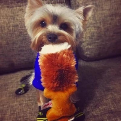 TamikaKeepiton1's profile picture. 